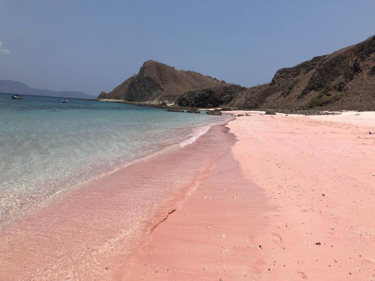 Dua Putri Komodo Homestay المظهر الخارجي الصورة