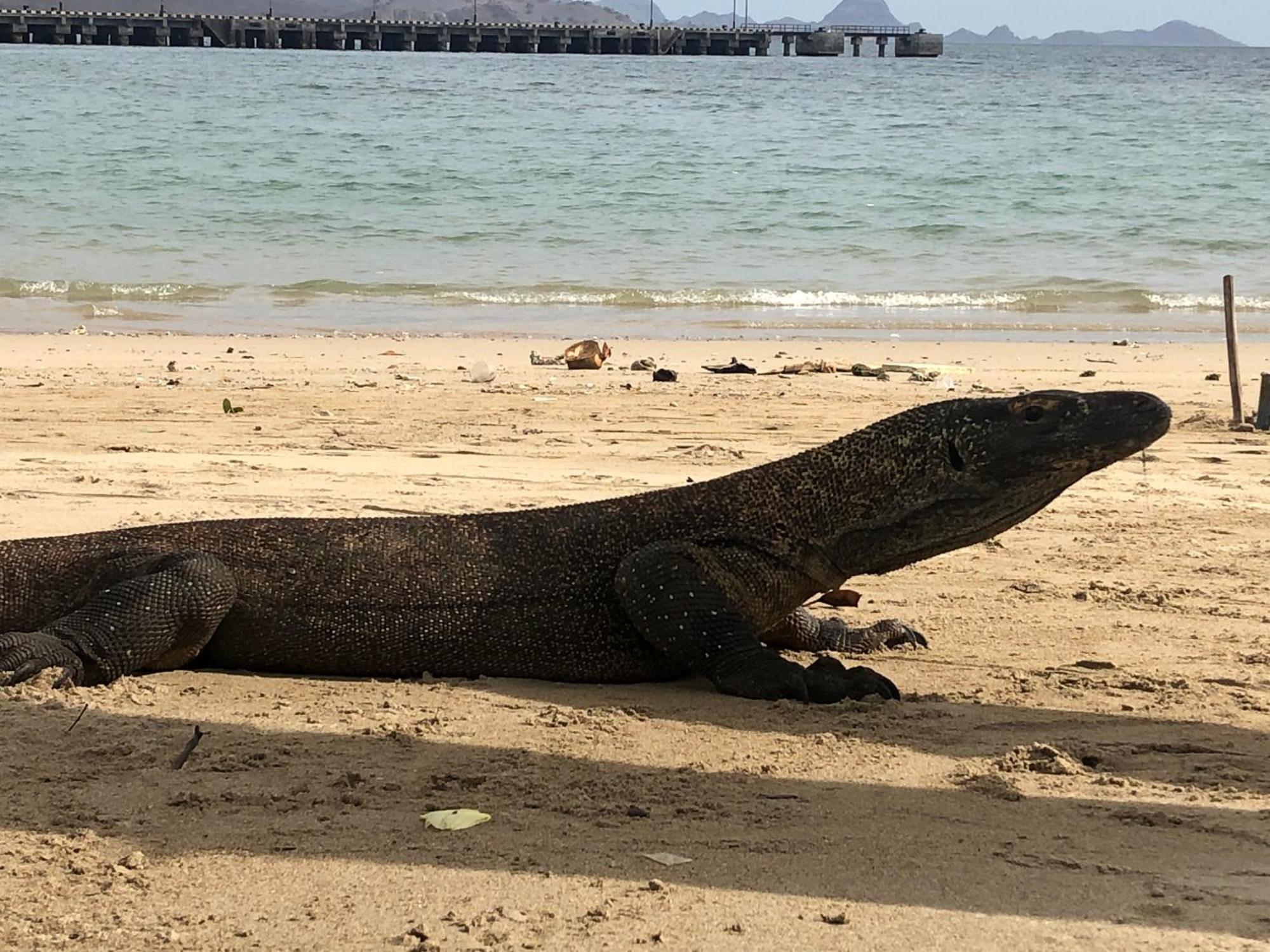 Dua Putri Komodo Homestay المظهر الخارجي الصورة