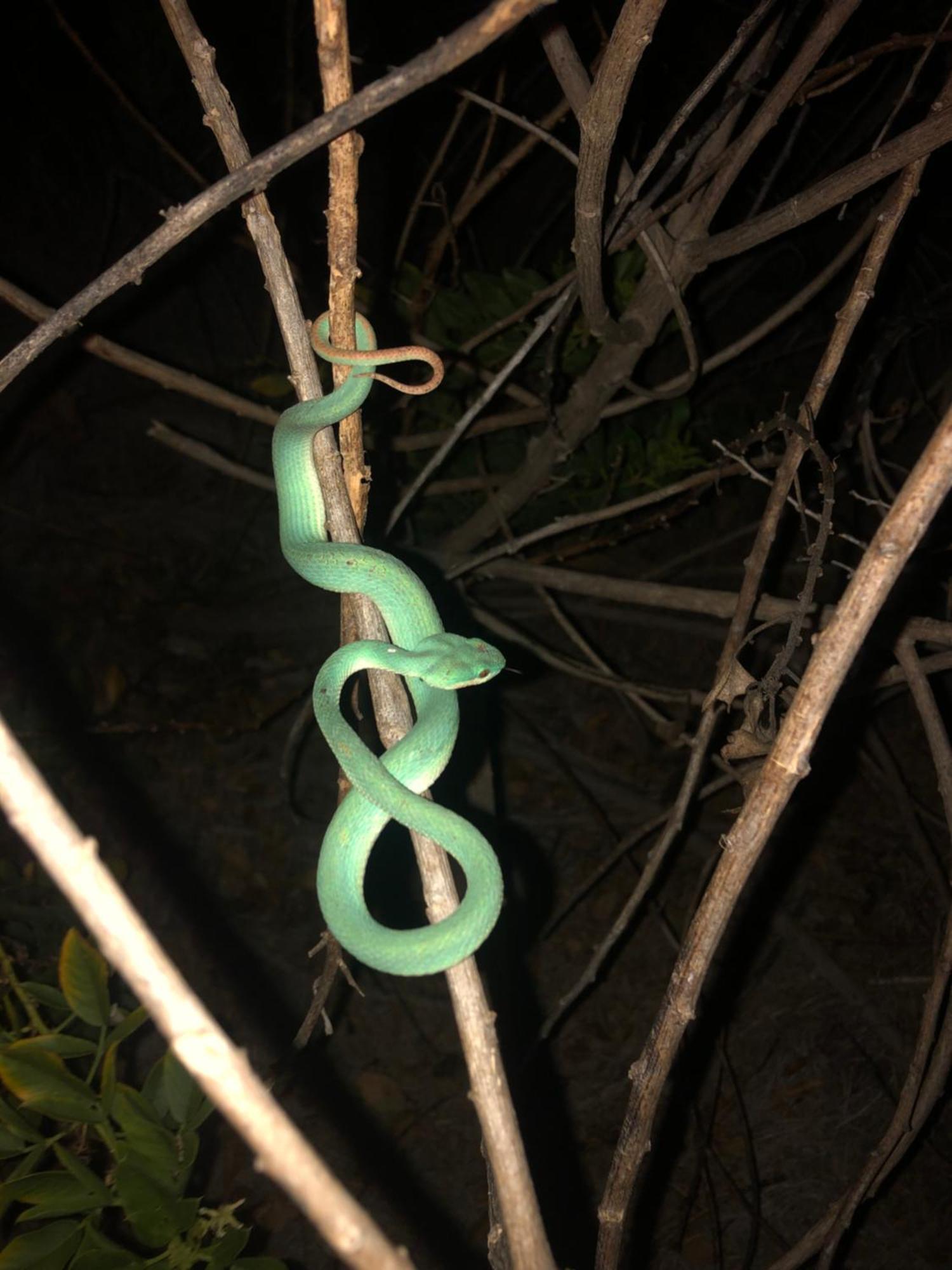 Dua Putri Komodo Homestay المظهر الخارجي الصورة